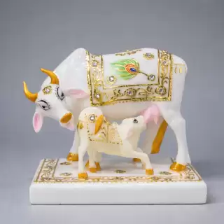 Cow And Calf