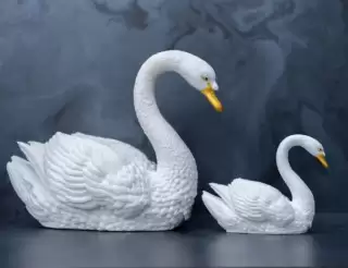 Swan Idol