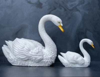 Swan Idol