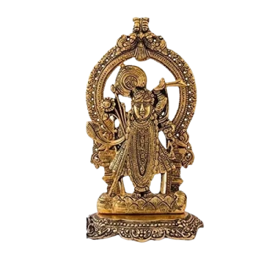 Metal Shreenath Ji In 12 Inch